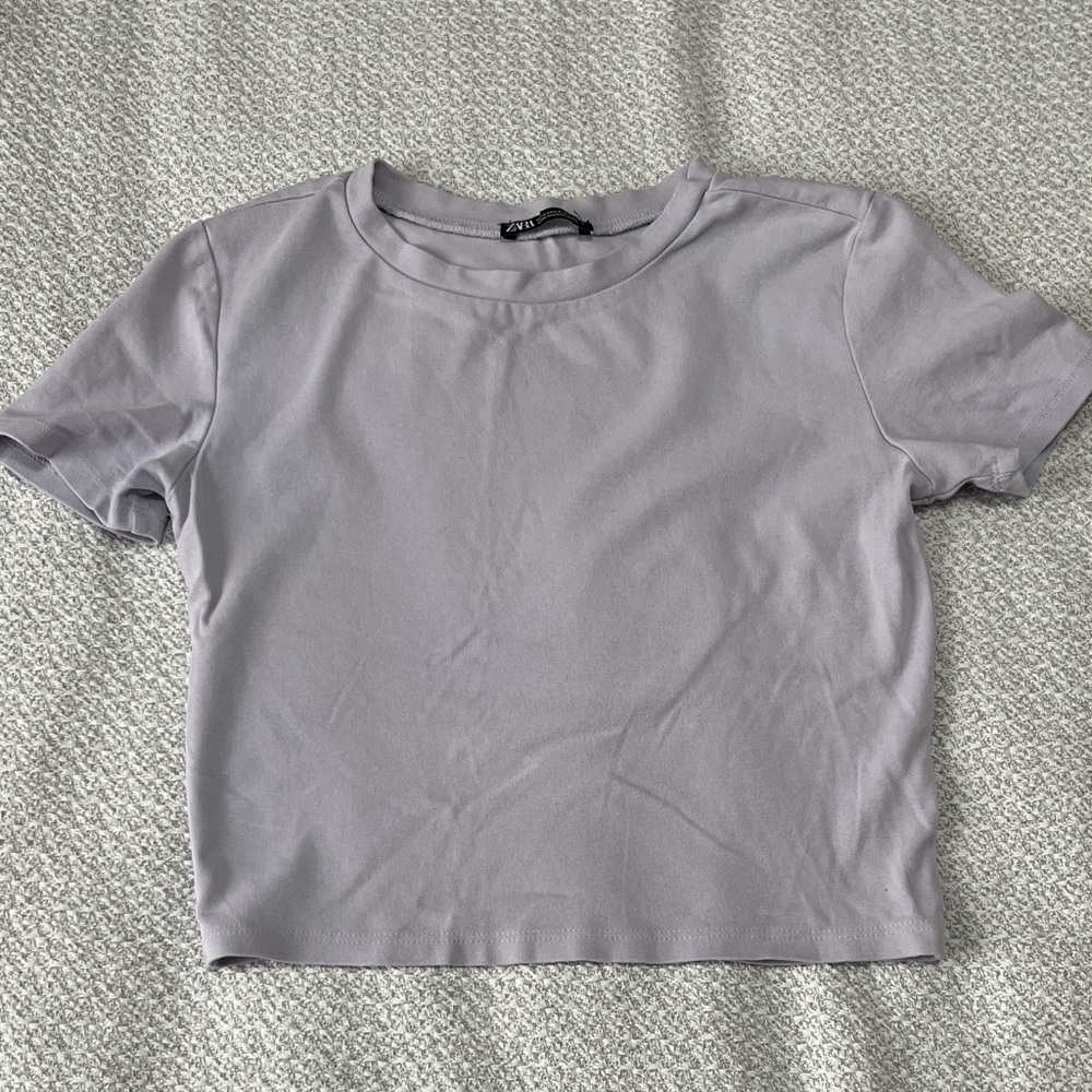Zara Lilac Short Sleeve Crewneck Crop Top